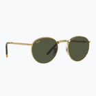 Occhiali da sole Ray-Ban New Round gold/green