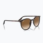 Occhiali da sole Ray-Ban RB2204 havana/light brown