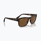 Occhiali da sole Ray-Ban RB4428 havana matte/brown polarized