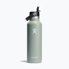 Hydro Flask Standard Flex Straw bottiglia da viaggio 620 ml agave