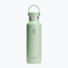 Bottiglia termica Hydro Flask Standard Flex 620 ml aloe