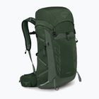 Zaino da escursionismo Osprey Talon 33 l verde canopy/foglia di pino per uomo
