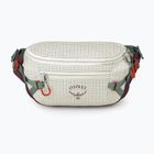 Marsupio cintura Osprey Transporter Waist Pack 3 l mystery white/moody burgundy