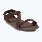 Sandali a piedi nudi da uomo Xero Shoes Z-Trek marrone