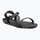 Sandali a piedi nudi da uomo Xero Shoes Z-Trail EV vetiver/verde