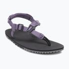 Sandali a piedi nudi da donna Xero Shoes H-Trail sage purple HTW-SGPU