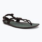 Sandali barefoot da uomo Xero Shoes Aqua Cloud java/brown/dark/forest