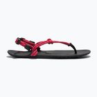 Sandali a piedi nudi da donna Xero Shoes Genesis raspberry