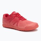 Scarpe a piedi nudi da donna Xero Shoes HFS II lampone / tramonto / corallo / gradiente