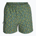 Royal Robbins All-In pantaloni da trekking da uomo algae flash pt