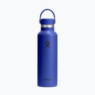 Borraccia termica Hydro Flask Standard Flex 621 ml blue