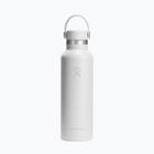 Borraccia termica Hydro Flask Standard Flex 621 ml white