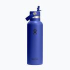 Borraccia termica Hydro Flask Standard Flex 621 ml blue