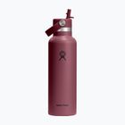 Borraccia termica Hydro Flask Standard Flex 621 ml burgundy