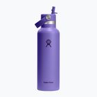 Borraccia termica Hydro Flask Standard Flex 621 ml utopia purple