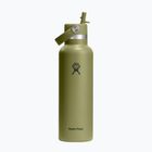Borraccia termica Hydro Flask Standard Flex 621 ml palmer green
