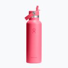 Borraccia termica Hydro Flask Standard Flex 621 ml popstar pink