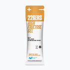 226ERS Gel energetico ad alto contenuto di fruttosio 80g torta alle spezie