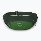 Marsupio Osprey Daylite Waist 2 l verde bely/verde canopy