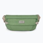 Osprey Arcane Hip 2 l botanica rene bustina