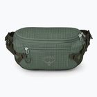 Osprey Transporter Waist Pack 3 l Borsa renna in foglia di pino