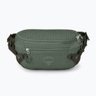 Osprey Transporter Waist Pack 3 l Borsa renna in foglia di pino