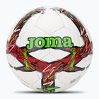 Joma Dali III rosso/verde fluoro taglia 5 calcio