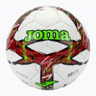 Joma Dali III rosso/verde fluoro taglia 5 calcio