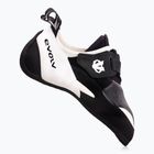 Scarpa da arrampicata Evolv V6 grigio/nero