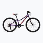 Kellys Kiter 30 bicicletta da bambino 24" viola