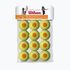 Palline da tennis Wilson Starter Orange Tball 12 pezzi giallo WRT137200