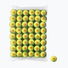 Palline da tennis Wilson Starter Orange Tball per bambini 48 pezzi giallo WRT13730B