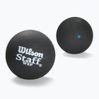 Palline da squash Wilson Staff Ball Blue Dot 12 pezzi nero.
