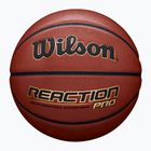 Pallacanestro Wilson