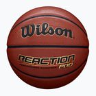 Pallacanestro per bambini Wilson