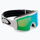 Oakley Line Miner M bianco opaco/prizm snow jade iridium occhiali da sci