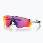 Oakley Radar EV XS Path occhiali da sole per bambini bianco opaco/prizm road