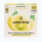 Bevanda reidratante Microdrink Tè freddo 12 cubetti limone