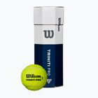 Palline da tennis Wilson Triniti Pro 3 pcs. yellow