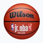 Wilson NBA JR Fam Logo basket Indoor outdoor marrone taglia 7