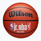 Wilson NBA JR Fam Logo basket Indoor outdoor marrone taglia 6