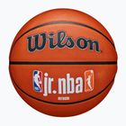 Wilson NBA JR Fam Logo Autentico Outdoor marrone basket taglia 6