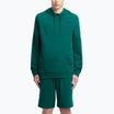 Felpa con cappuccio Reebok Identity Small Logo Uomo verde collegiale