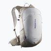 Zaino da trekking Salomon Trailblazer 20 l cachi/grigio ghiaccio