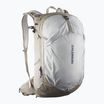 Zaino da trekking Salomon Trailblazer 30 l cachi/grigio ghiaccio