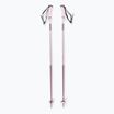 Bastoncini da sci Salomon Polar heavenly rosa