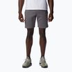Pantaloncini da trekking Columbia Logo Fleece city grigio erica da uomo