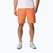 Pantaloncini da trekking Columbia Washed Out arancione deserto da uomo
