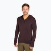 Felpa con cappuccio Icebreaker Merino 260 Quantum IV Zip Uomo agrodolce