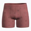 Icebreaker Merino150 Anatomica Boxer Esplora altro boxer termico plume/aop